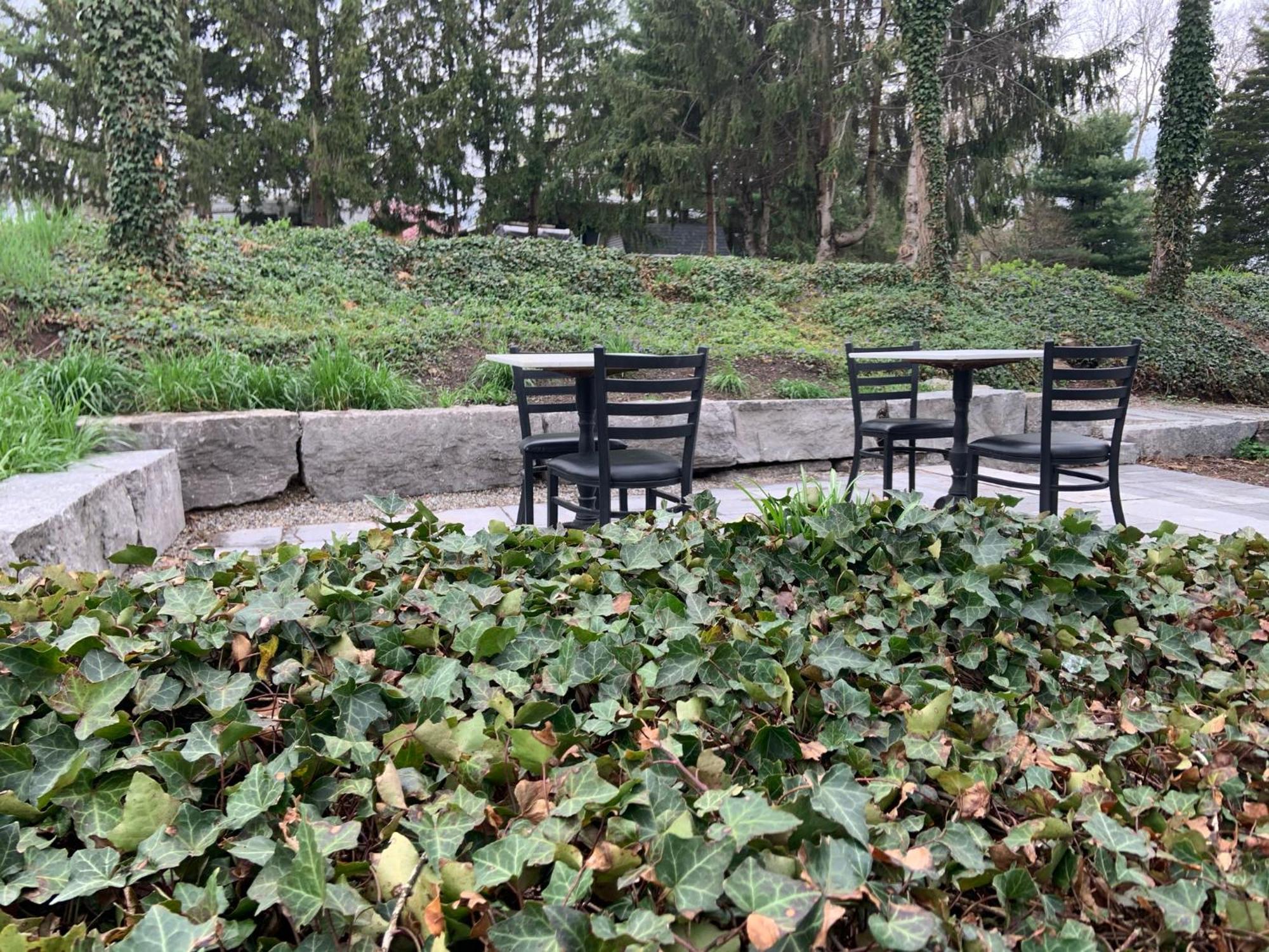 ניאגרה און דה לייק South Landing Inn מראה חיצוני תמונה